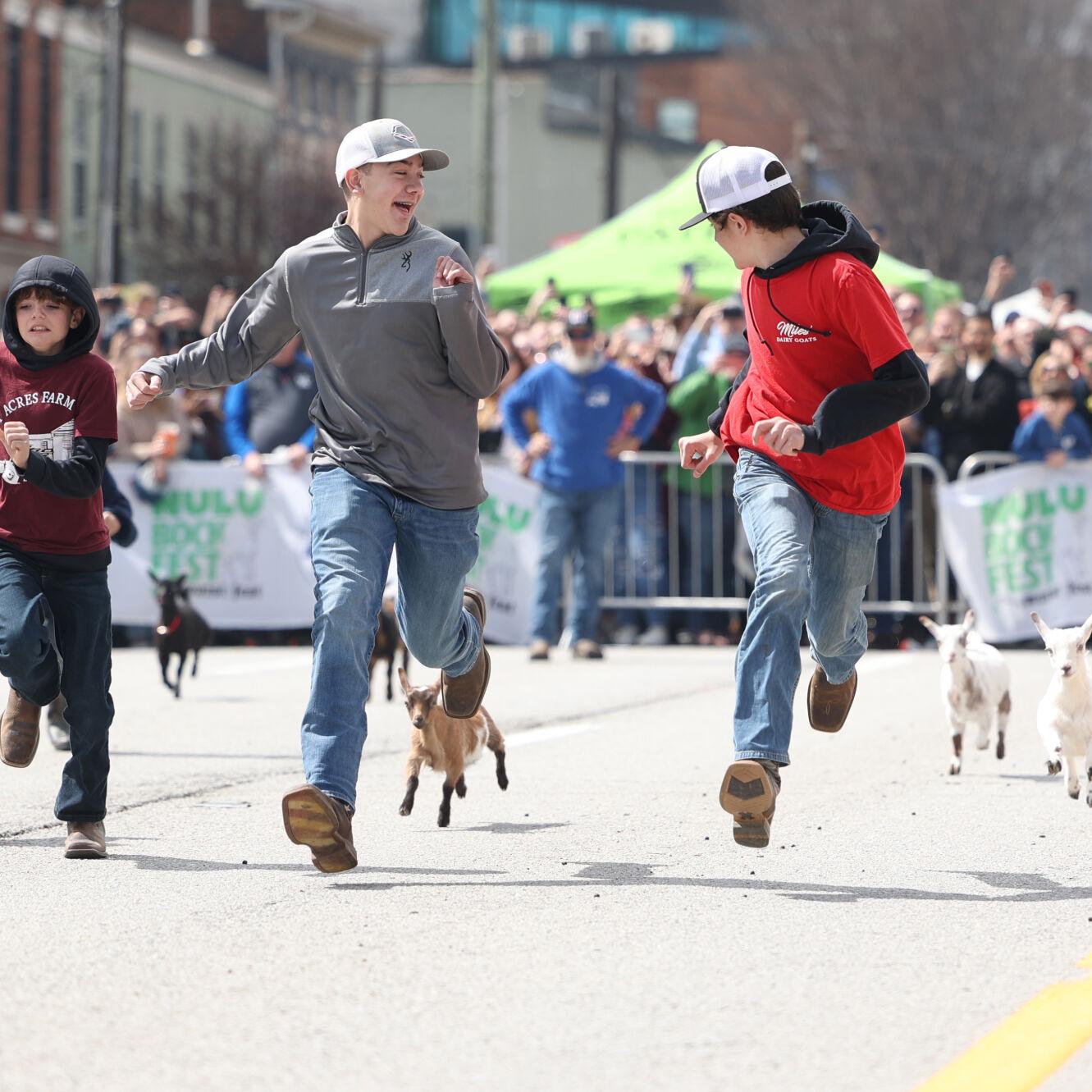 Goats run in race